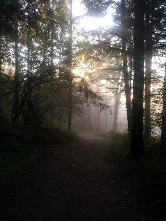 1461009_651108804942026_1915779201_n