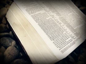 spiritual abuse, clergy abuse, Psalm 23