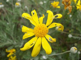 recovering from spiritual abuse medium_4526126991