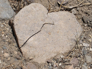 Bill Gothard, abuse, IBLP, ATI, spiritual abuse