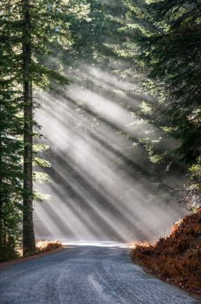 Light rays