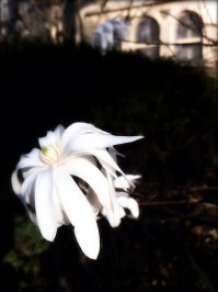 determinist teachings 6834815688_4686d663db