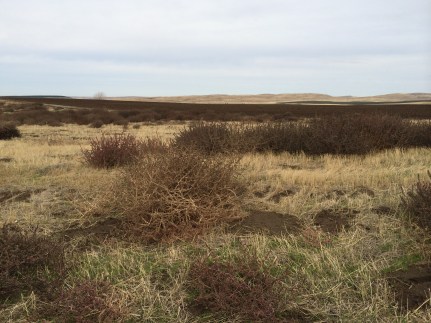 spiritual abuse, ken garrett, cults