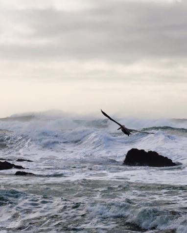 11204966_957032307696735_7471576993250680859_n