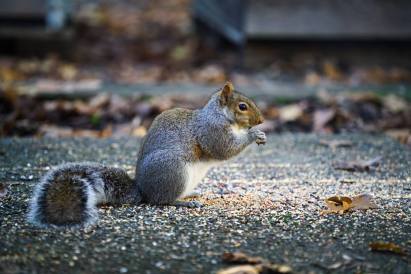 12313659_10153167087027805_381304205818636892_n