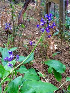 12799416_211264669235735_6070303658308327161_n