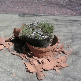 Tullian Tchividjian, Bob Coy, Coral Ridge Presbyterian Church, CRPC, sexual sins, clergy sex abuse