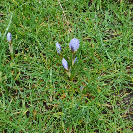 IMG_20180131_120034_981