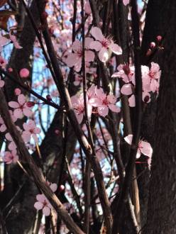 29425471_10156304631053653_6369803088737673470_n