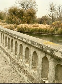 Spiritual Abuse, Jonathan Hollingsworth, Gossip