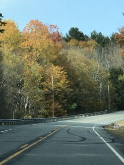 Predestination and Children